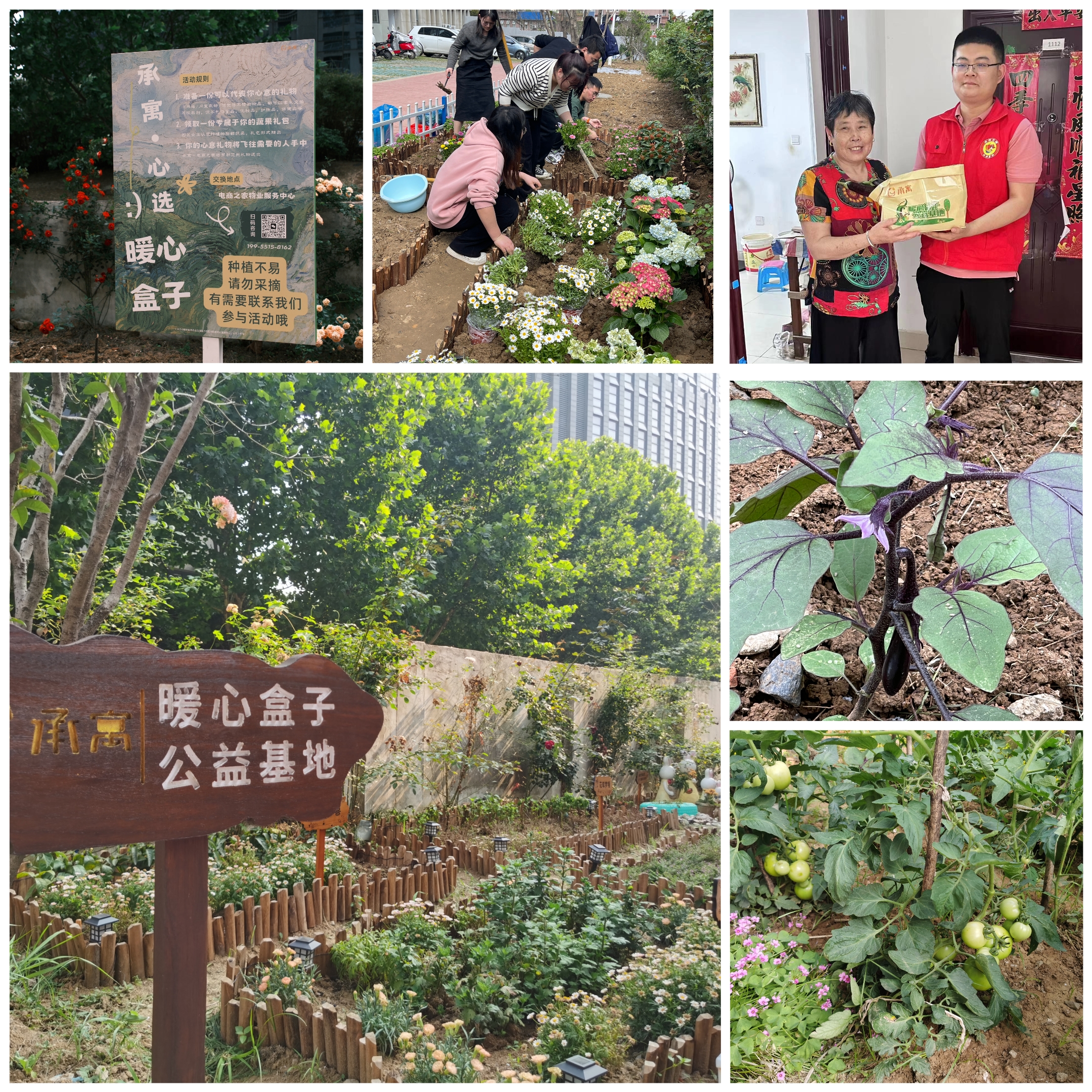 ������k8����Ӯ�ҡ�һ������