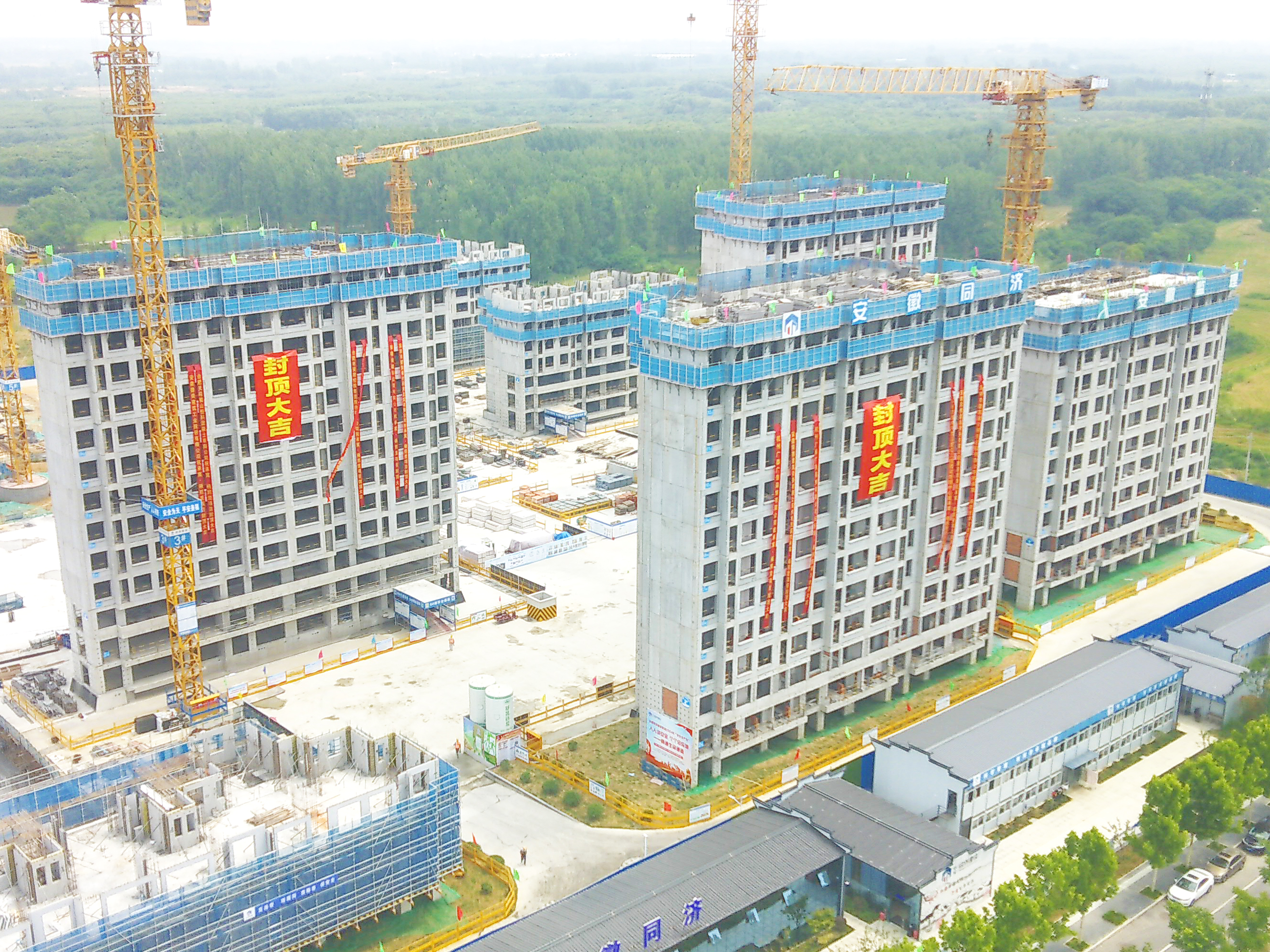 ������k8����Ӯ�ҡ�һ������