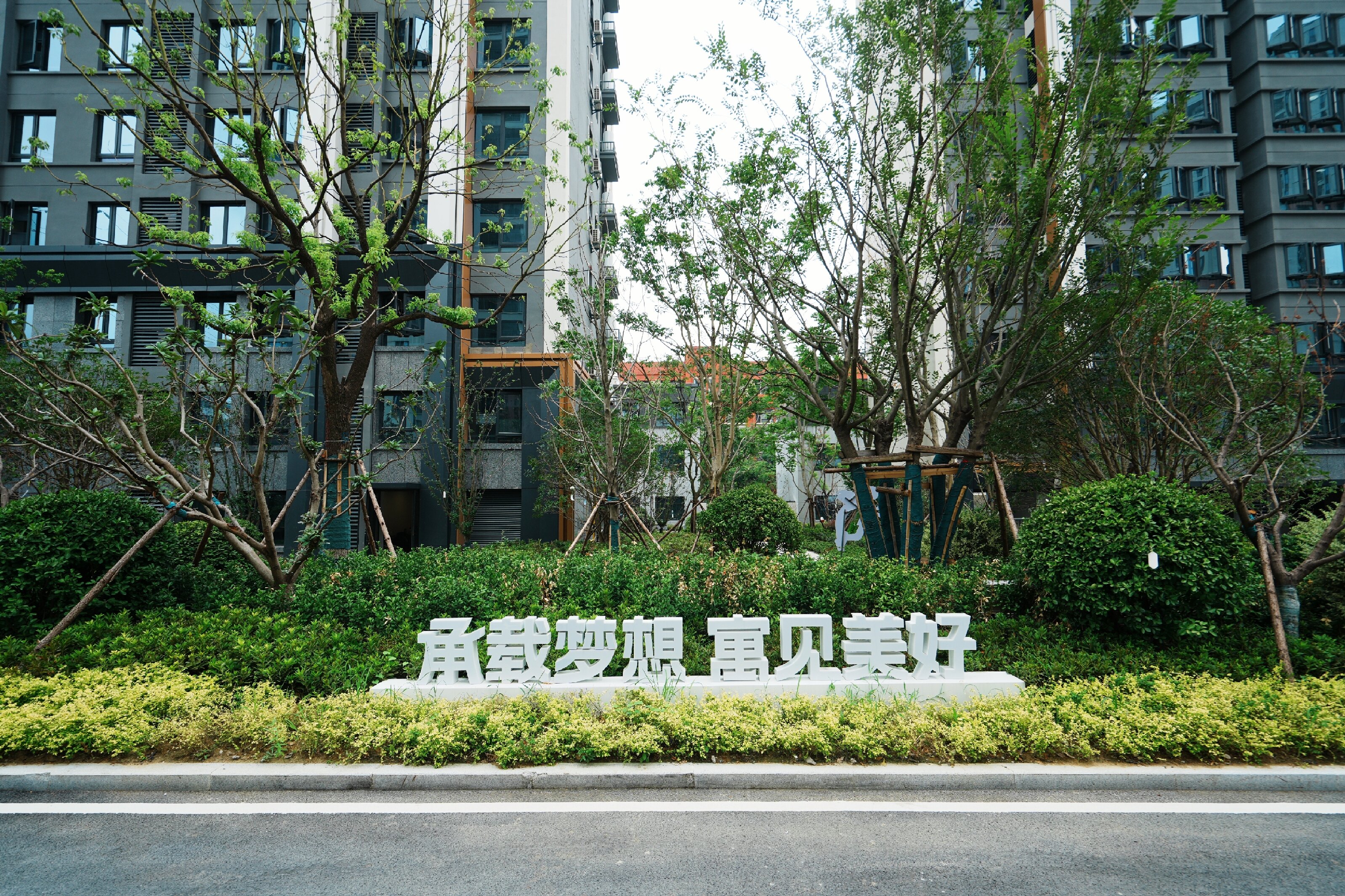 ������k8����Ӯ�ҡ�һ������