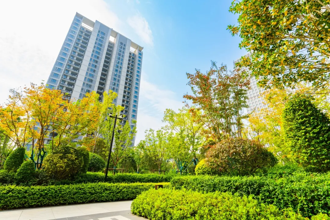 ������k8����Ӯ�ҡ�һ������