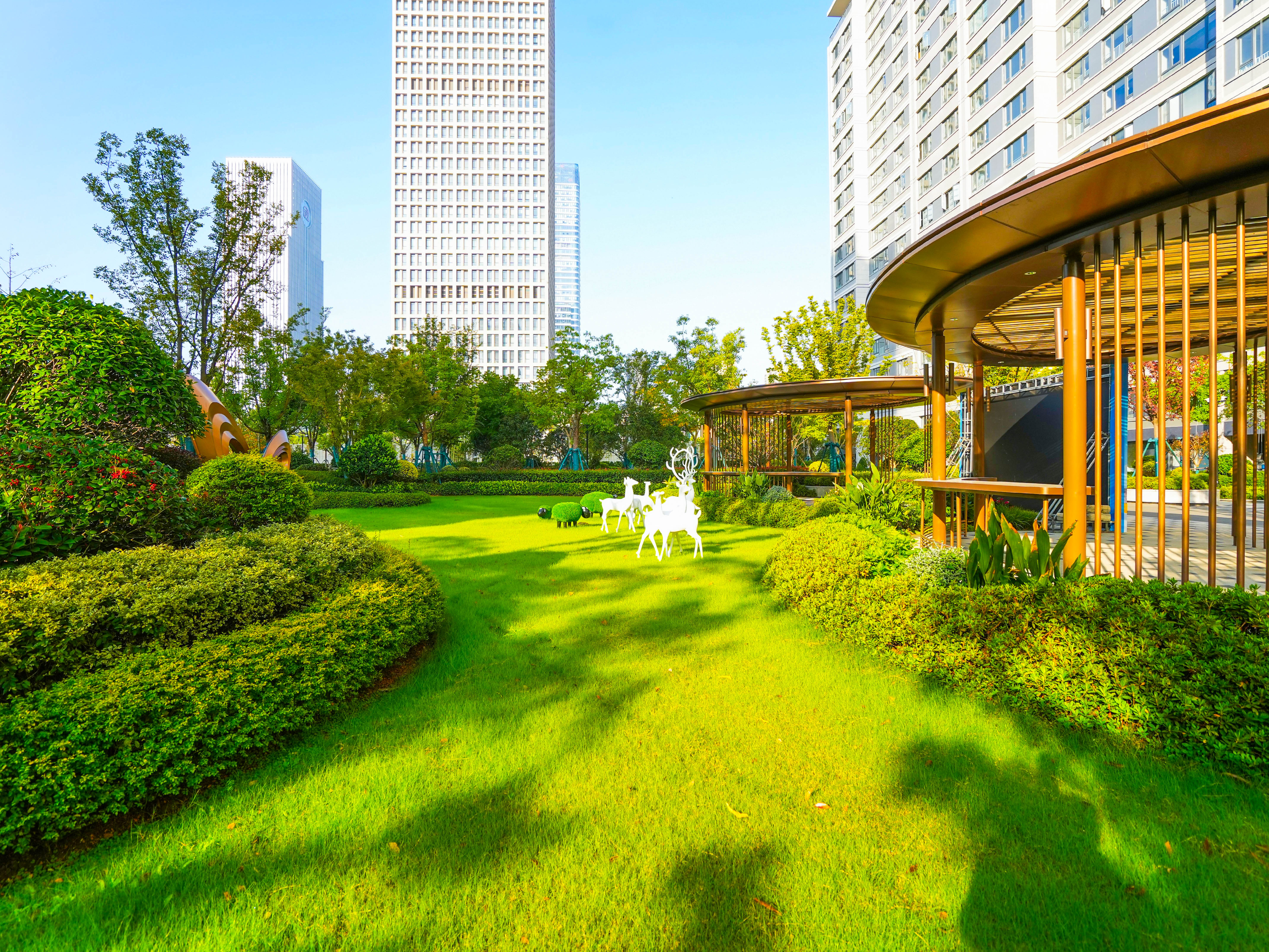 ������k8����Ӯ�ҡ�һ������