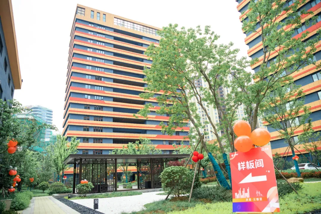 ������k8����Ӯ�ҡ�һ������